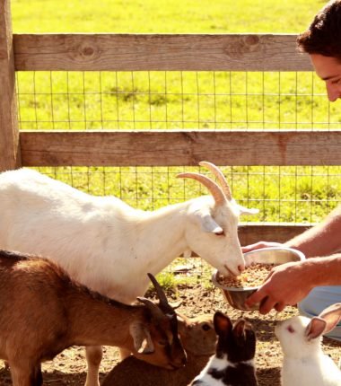 {"ARInfo":{"IsUseAR":false},"Version":"1.0.0","MakeupInfo":{"IsUseMakeup":false},"FaceliftInfo":{"IsChangeEyeLift":false,"IsChangeFacelift":false,"IsChangePostureLift":false,"IsChangeNose":false,"IsChangeFaceChin":false,"IsChangeMouth":false,"IsChangeThinFace":false},"BeautyInfo":{"SwitchMedicatedAcne":false,"IsAIBeauty":false,"IsBrightEyes":false,"IsSharpen":false,"IsOldBeauty":false,"IsReduceBlackEyes":false},"HandlerInfo":{"AppName":2},"FilterInfo":{"IsUseFilter":false}}